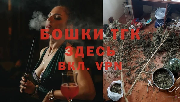 дмт Богородск