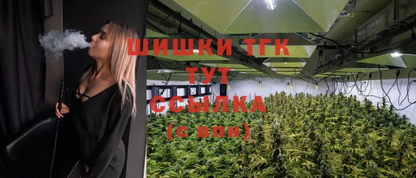 дмт Богородск