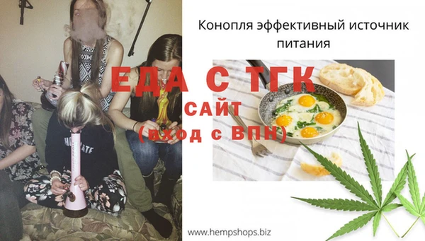 дмт Богородск